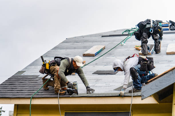 Professional Gutter Installation technician working in Halstad, MN